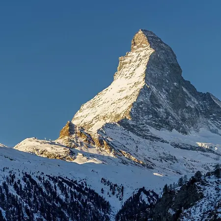 Ξενοδοχείο Alpenroyal Ζερμάτ