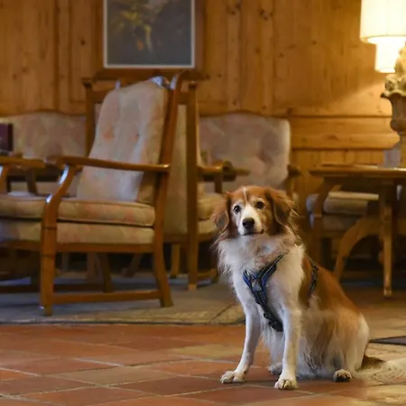 Hotel Alpenroyal Zermatt