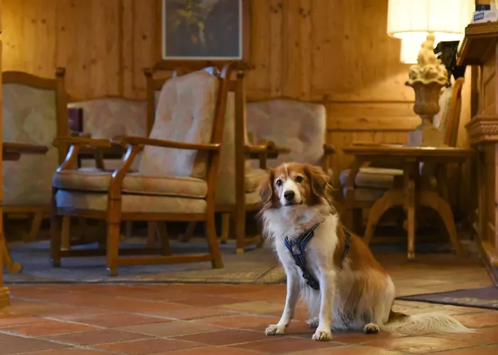 Hotel Alpenroyal Zermatt